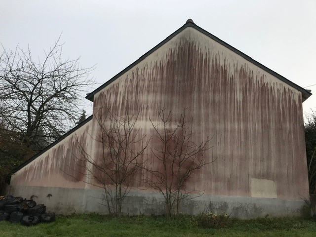 Nettoyage de façade